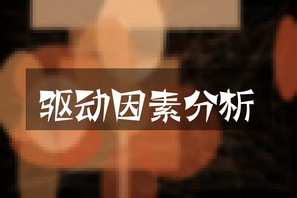 驱动因素分析